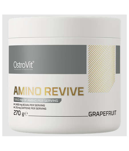 OstroVit Amino Revive 270 g