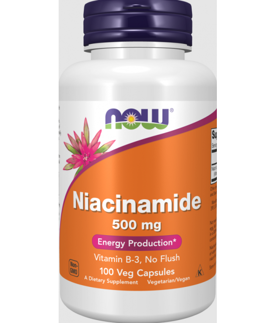 NOW FOODS Niacinamide, 500mg - 100 caps