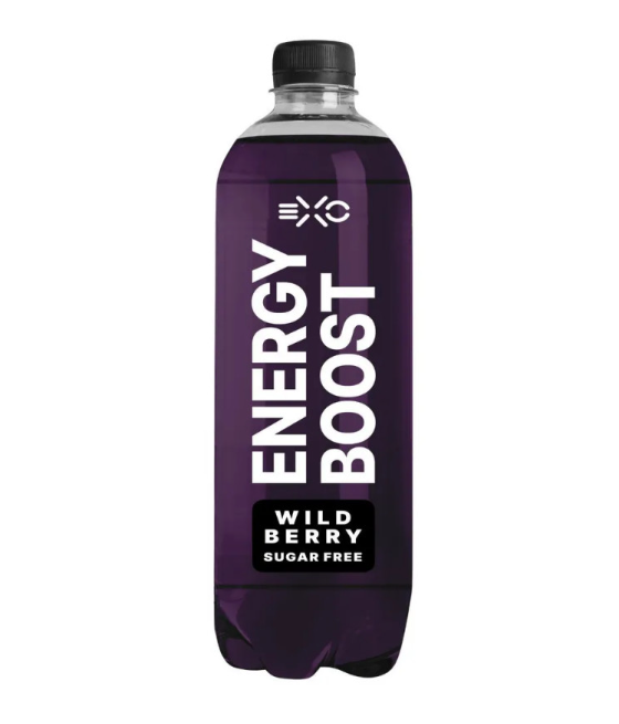 FITNESS FOOD FACTORY Vitawell Energia jook,Metsmari, 500 ml
