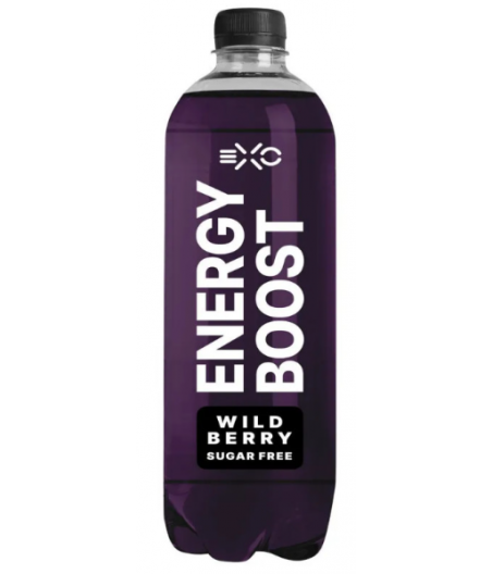 FITNESS FOOD FACTORY Vitawell Energia jook,Metsmari, 500 ml
