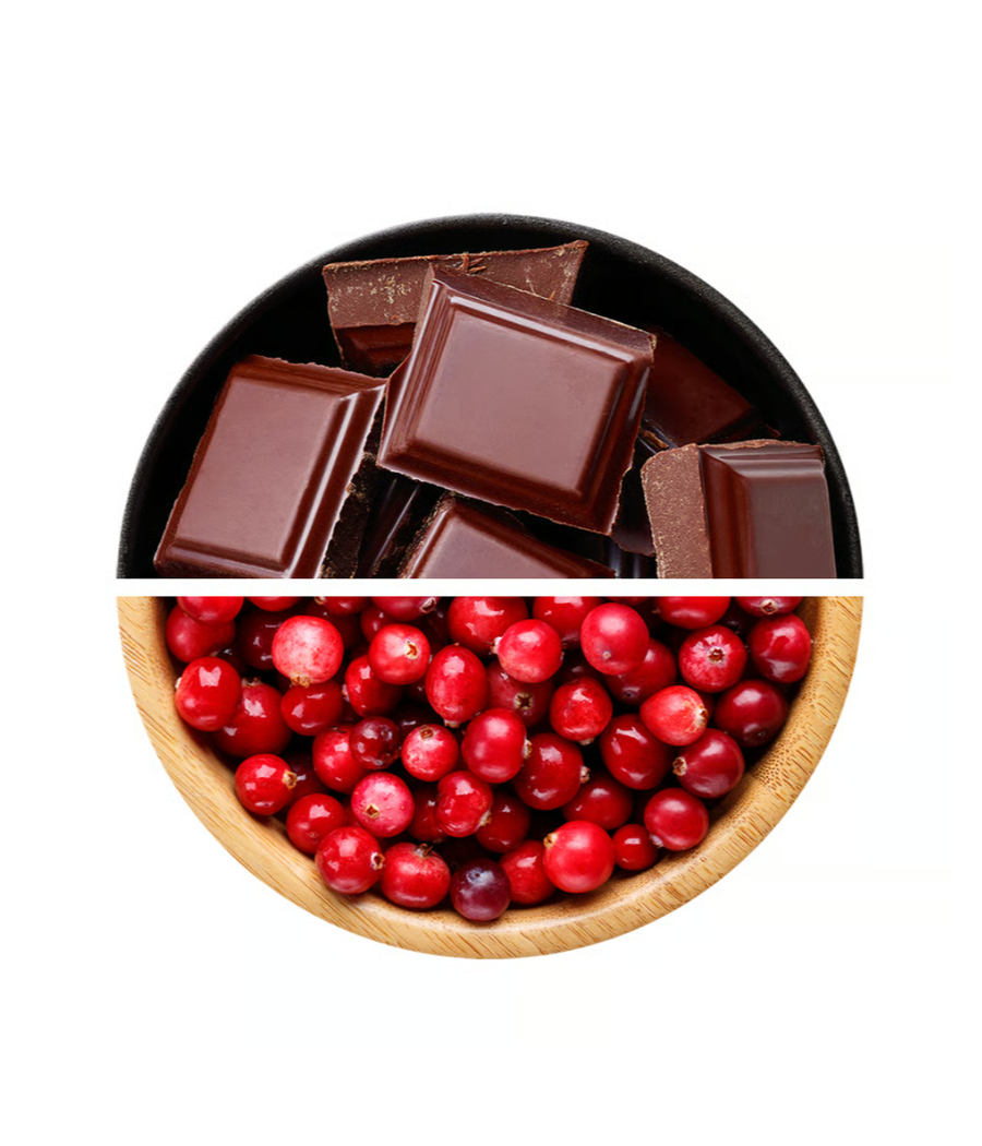 EXCELENT PROTEIN BAR, šokolaad - pähklipralinee jõhvikatega, 85 g – madala kalorsusega toode firmalt NUTREND, osta SportFit Nutrition OÜ | Reg.nr. 14554498-ist