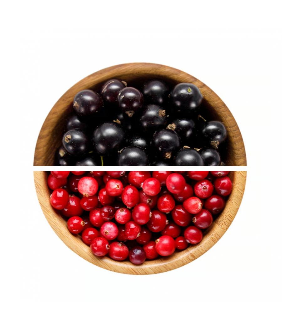 EXCELENT PROTEIINIBATOON, mustsõstar - jõhvikas, 85 g – madala kalorsusega toode firmalt NUTREND, osta SportFit Nutrition OÜ | Reg.nr. 14554498-ist