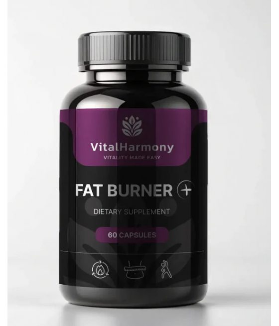 Energy at SportFit Nutrition OÜ | Reg.nr. 14554498 – healthy products with delivery to Estonia, Latvia, Lithuania, Finland, and the entire EU.