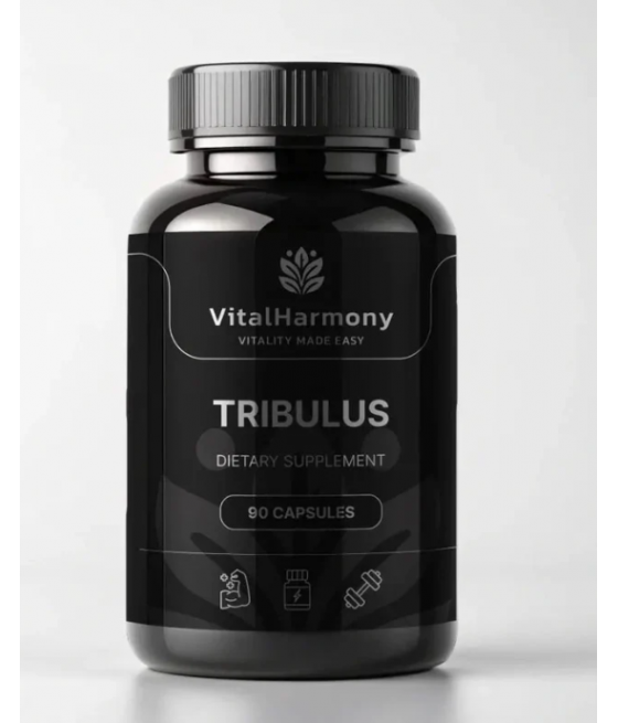 Energy at SportFit Nutrition OÜ | Reg.nr. 14554498 – healthy products with delivery to Estonia, Latvia, Lithuania, Finland, and the entire EU.