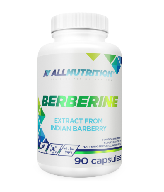 Digestive system at SportFit Nutrition OÜ | Reg.nr. 14554498 – healthy products with delivery to Estonia, Latvia, Lithuania, Finland, and the entire EU.