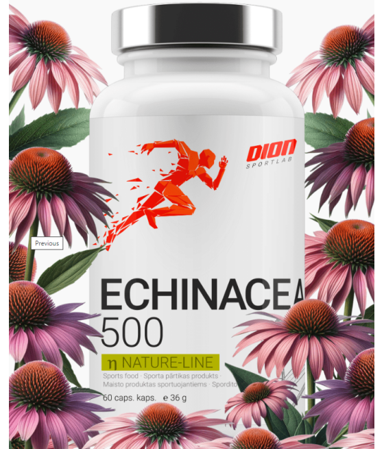 ECHINACEA 500 Echinacea extract 60kap