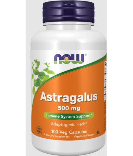 Astragalus, 500mg - 100 caps